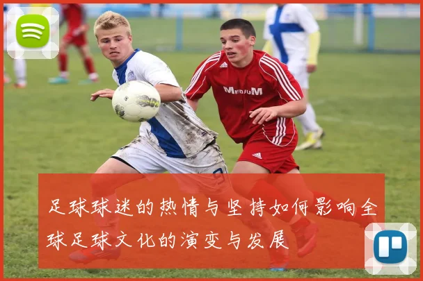 足球球迷的热情与坚持如何影响全球足球文化的演变与发展