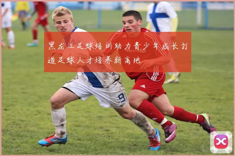 黑龙江足球培训助力青少年成长打造足球人才培养新高地
