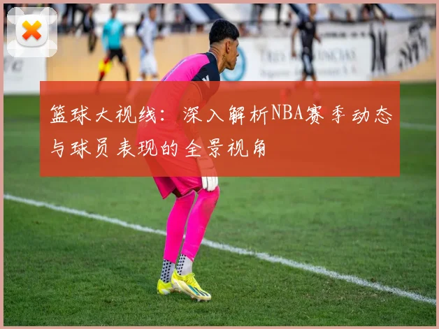 篮球大视线：深入解析NBA赛季动态与球员表现的全景视角
