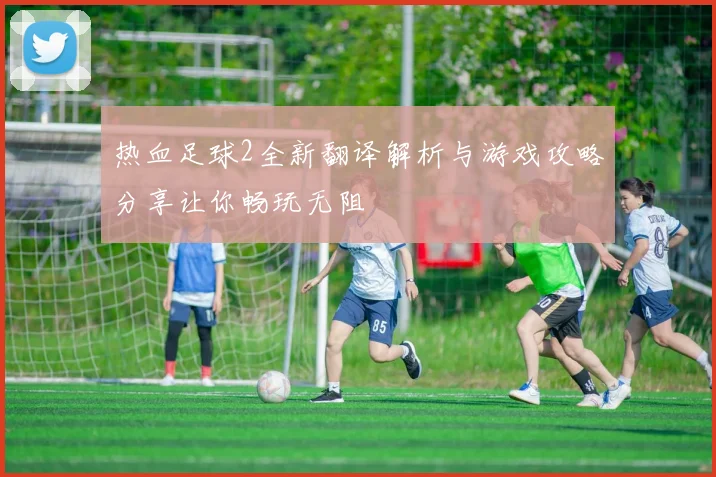 热血足球2全新翻译解析与游戏攻略分享让你畅玩无阻